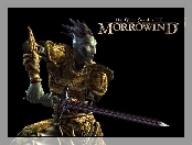 The Elder Scrolls III: Morrowind, Miecz