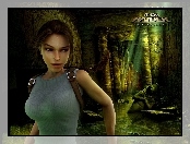 Tomb Raider