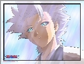 Kapitan, Toshiro Hitsugaya