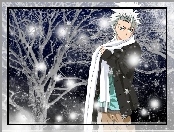 Śnieg, Toshiro, Zima