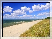 Trawa, Morze, Fale, Plaża, Piasek