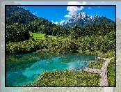 Pomosty, Rezerwat przyrody Zelenci, Słowenia, Jezioro, Drzewa, Las, Góry, Trawa, Kranjska Gora