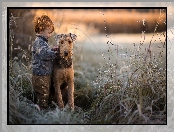 Trawy, Pies, Airedale terrier, Chłopiec, Trzciny