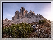 Szczyty, Roślinność, Skały, Góry, Iglaki, Włochy, Tre Cime di Lavaredo, Dolomity