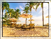 Palmy, Plaża, Lato, Tropiki, Leżaki, Parasole, Wakacje