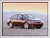 Acura TSX, Alufelgi