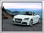 Audi TT, Roadster