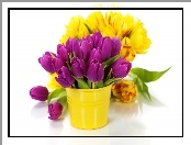 Tulipany