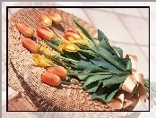 Bukiet, Tulipany, Kosz