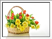 Tulipany, Koszyk