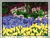 Tulipany, Ogród, Różne, Kwiatki, Żółte