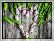 Kwiaty, Tulipany, Serce