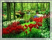 Las, Tulipany, Woda