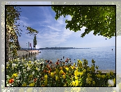 Niemcy, Tulipany, Wyspa Mainau Bay, Jezioro Bodeńskie