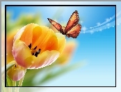 Żółte, Tulipany, Motyl