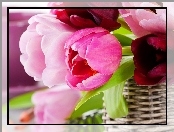Różowe, Tulipany, Koszyk