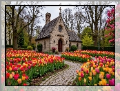 Wiosna, Tulipany, Ścieżka, Kościół, Drzewa