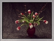 Wazon, Przybranie, Tulipany