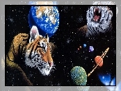 Tygrysy, William Schimmel, Planety, Kosmos