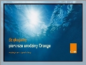 urodziny, Orange