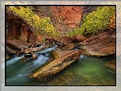 Stany Zjednoczone, Drzewa, Kanion, Stan Utah, Park Narodowy Zion, Rzeka Virgin River, Skały