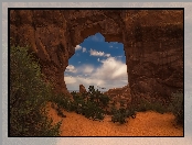 Stany Zjednoczone, Skały, Rośliny, Park Narodowy Arches, Stan Utah