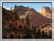 Skały, Drzewa, Park Narodowy Zion, Stany Zjednoczone, Góry, Stan Utah