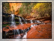 Rzeka, Stan Utah, Stany Zjednoczone, Park Narodowy Zion, Drzewa, Skały, Roślinność