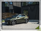 Lexus UX200, Zielony