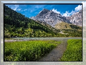 Góry, Kanton Valais, Szwajcaria, Alpy, Las, Trawa, Jezioro Lac de Derborence