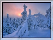 Zima, Laponia, Mgła, Finlandia, Drzewa, Wschód słońca, Wzgórze, Rezerwat Valtavaara