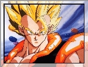 Vegetto, Ssj2