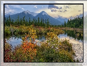 Park Narodowy Banff, Drzewa, Jezioro, Kanada, Vermilion Lake, Jesień, Góry, Alberta