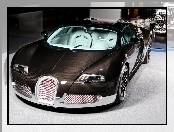 Bugatti Veyron, Karbon