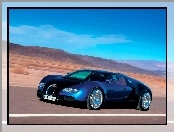 Bugatti Veyron, Pustynia