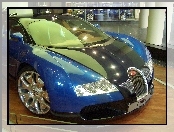 Bugatti Veyron, Salon