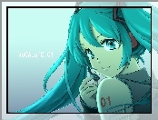 Vocaloid, 01