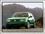Volkswagen Golf 4, Zielony