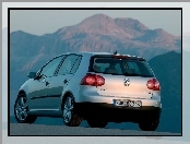 Volkswagen Golf 5, Srebrny