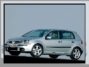 Volkswagen Golf 5, Srebrny