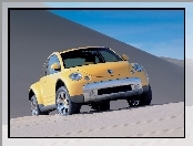 Volkswagen New Beetle, 4x4