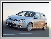 Volkswagen Golf 5, drzwi 5