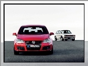 Volkswagen Golf 5, Volkswagen Golf 1