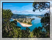 Pauanui, Rzeka, Drzewa, Nowa Zelandia, Tairua River, Region Waikato