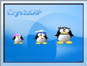 wąsy, Linux, pingwin, rodzina, czapka