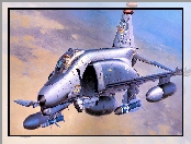 Samolot, McDonnell Douglas F-4G Phantom II, Wild Weasel