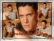 Wentworth Miller, szare oczy