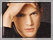 Wentworth Miller, szare oczy