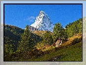 Góry, Światło, Matterhorn, Cień, Szczyt, Las, Łąka, Szopa