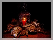 Lampion, Świeca, Liście